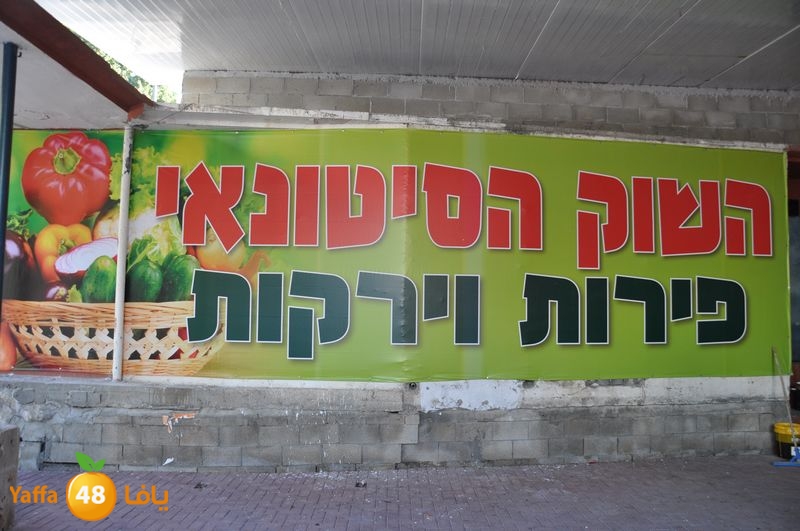 setona2y 830 (27).JPG